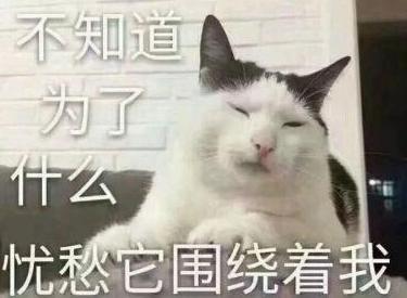 DƬ